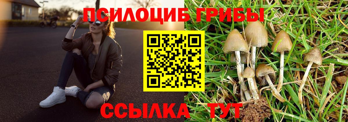 Галлюциногенные грибы мицелий Ярославль