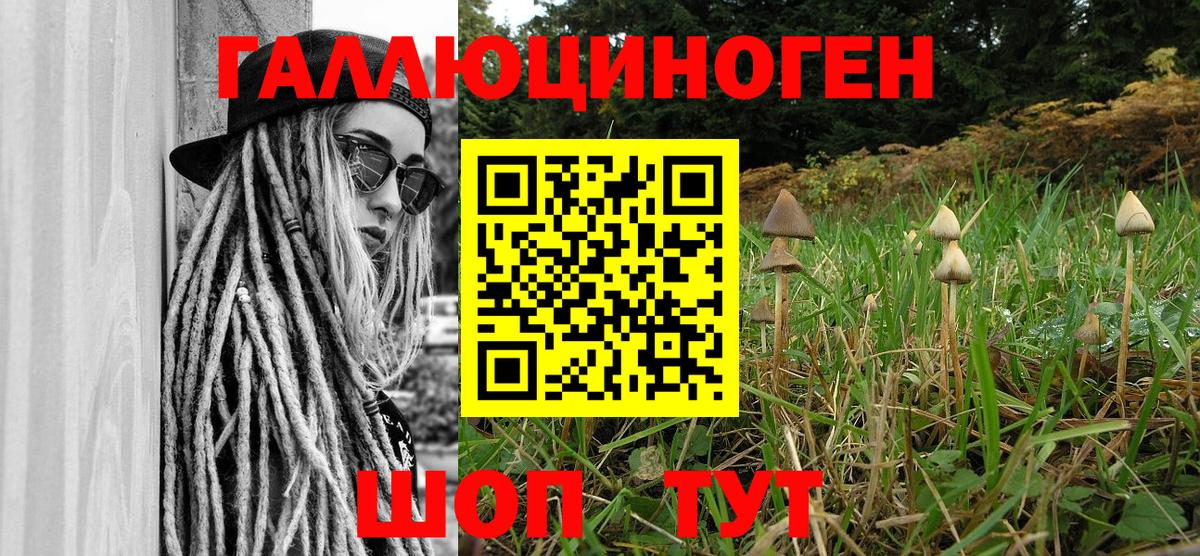 Ярославль  Галлюциногенные грибы мухоморы  Вход с VPN  Галлюциногенные грибы ЛСД 